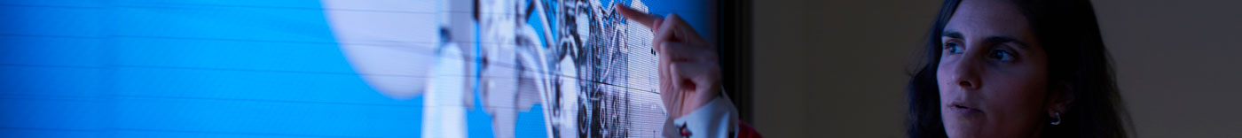 Bild zu Planning & Delivery Leader